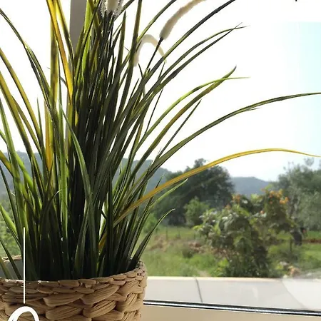 Quinta Dos Netos Ferienhaus *