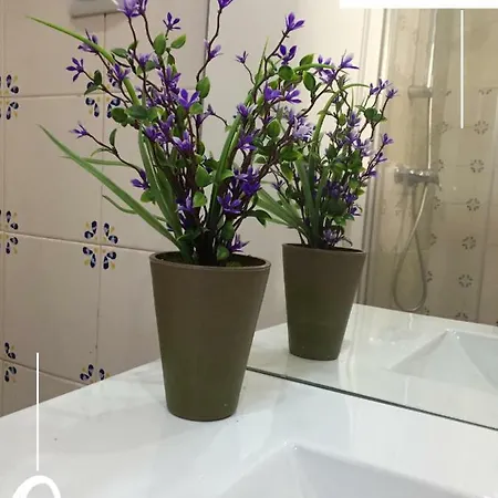 Сasa de vacaciones Quinta Dos Netos