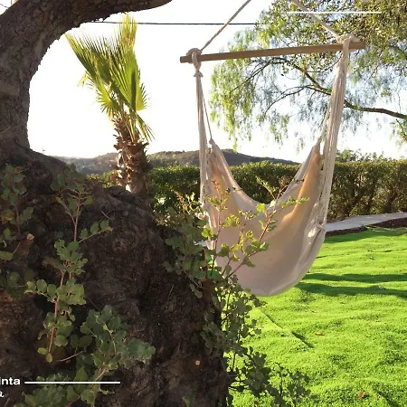 Ferienhaus Quinta Dos Netos *