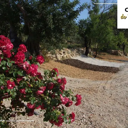 Quinta Dos Netos Σπίτι διακοπών *