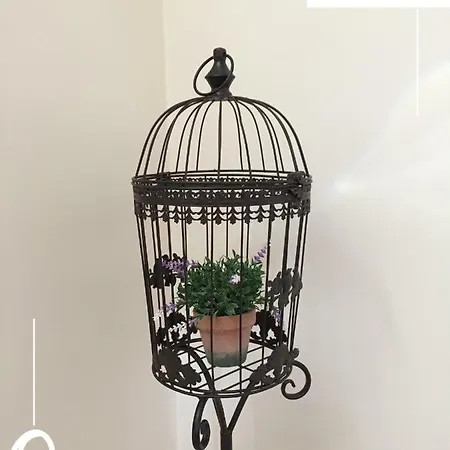 Quinta Dos Netos Ταβίρα