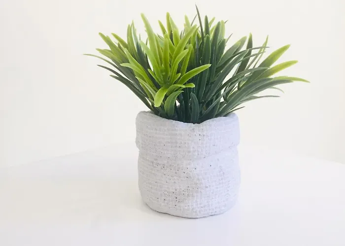 Quinta Dos Netos 펜션