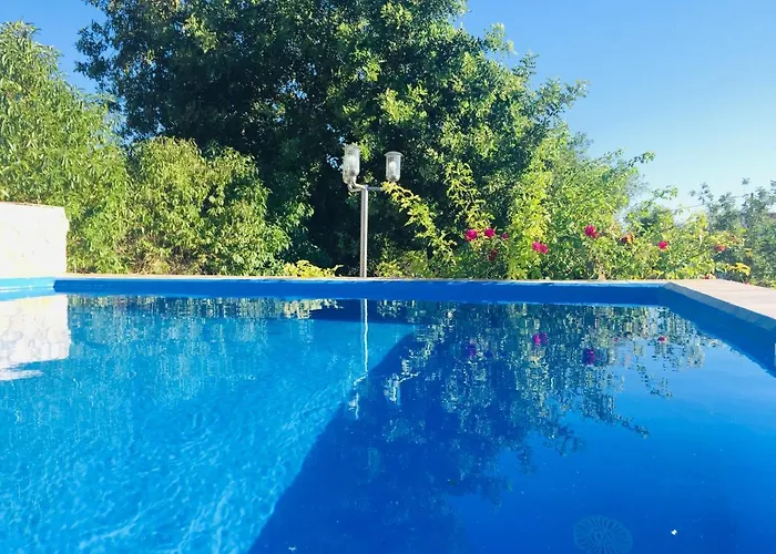 Quinta Dos Netos 펜션 *