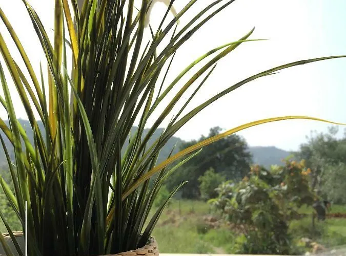 Quinta Dos Netos 펜션 *